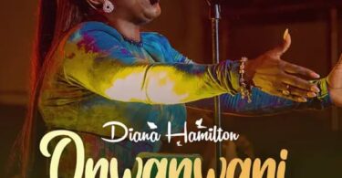 Diana Hamilton – Onwanwani (Wonder Working God)